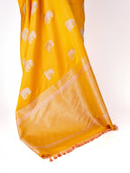 Saanjh