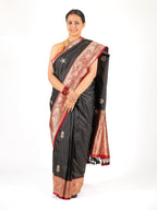 Sanyogita