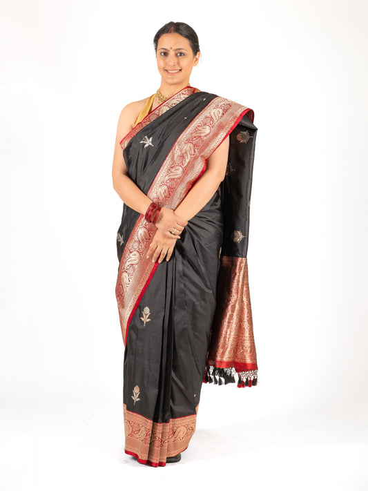 Sanyogita