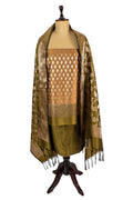 Bhavini suit
