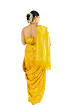 Pitambari saree