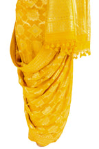 Pitambari saree