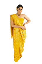 Pitambari saree