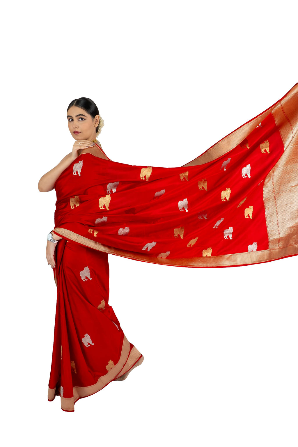 Noor saree