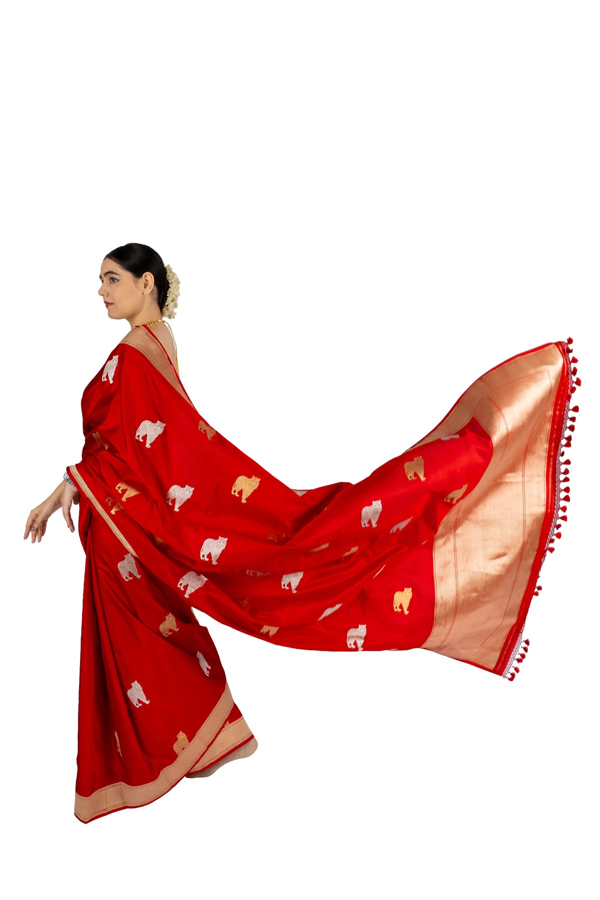 Noor saree