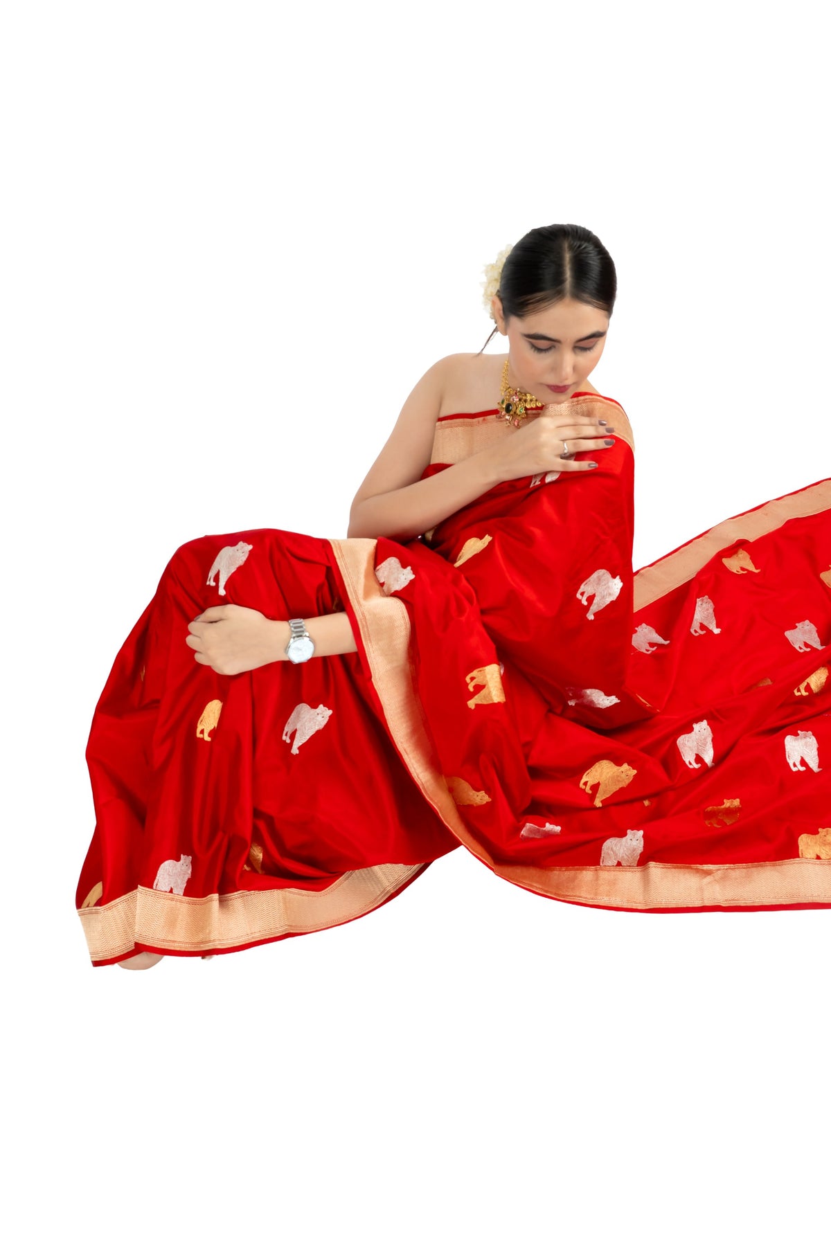 Noor saree