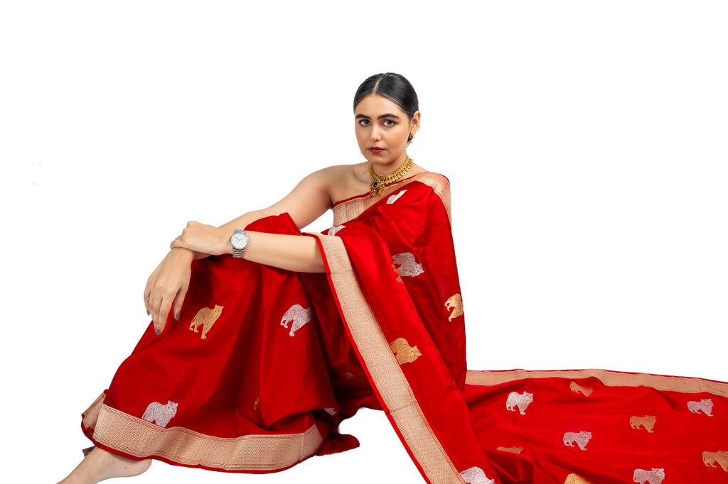 Noor saree