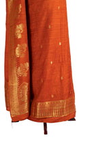 Charumati suit