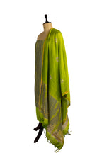 Pravisha suit